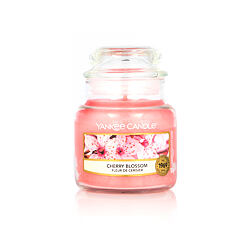 Yankee Candle Classic Small Jar Candles Candela profumata 104 g